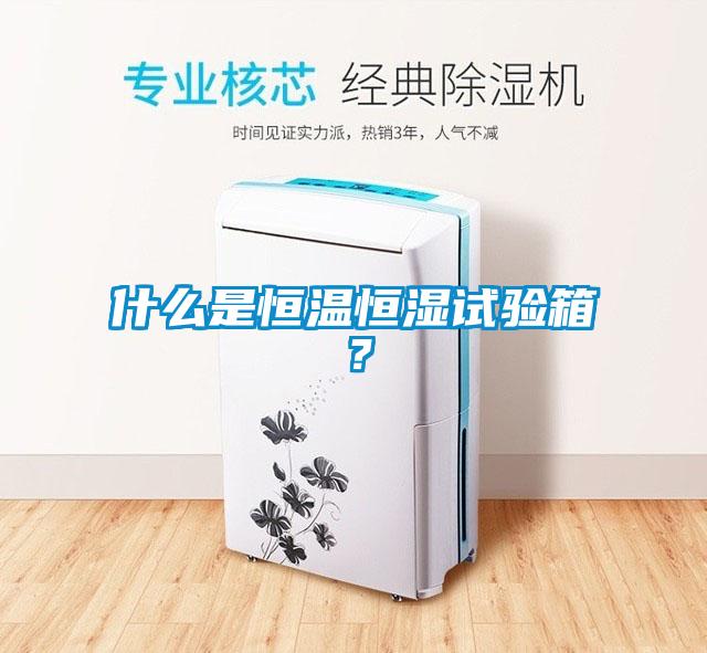 什么是恒溫恒濕試驗箱？