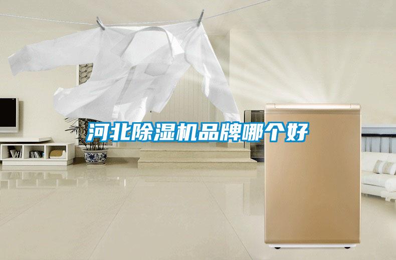河北除濕機品牌哪個(gè)好