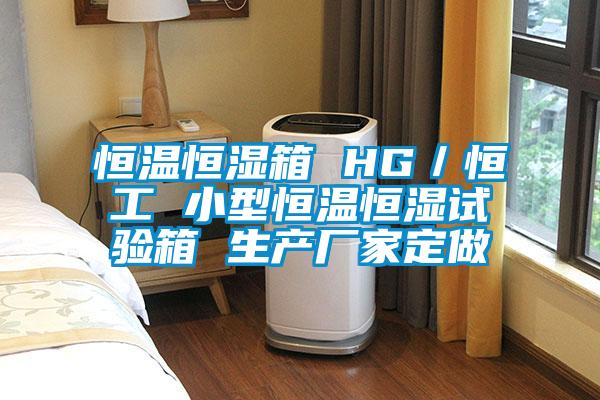 恒溫恒濕箱 HG／恒工 小型恒溫恒濕試驗箱 生產(chǎn)廠(chǎng)家定做