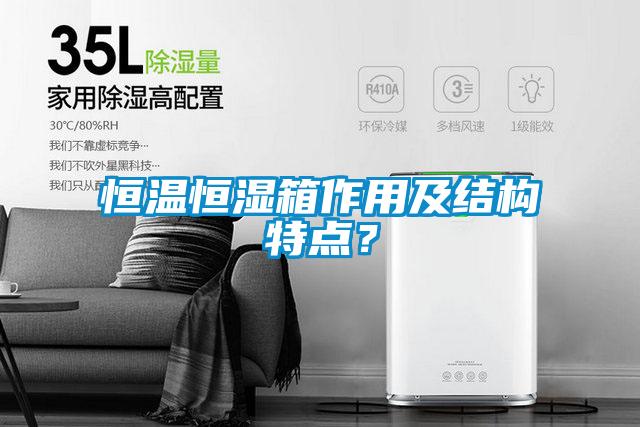 恒溫恒濕箱作用及結構特點(diǎn)？
