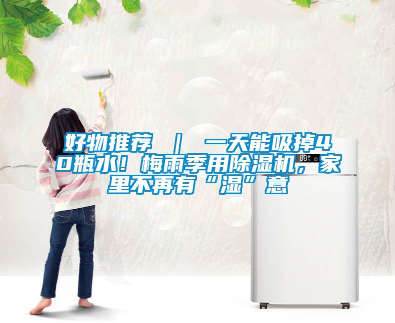 好物推薦 ｜ 一天能吸掉40瓶水！梅雨季用除濕機，家里不再有“濕”意