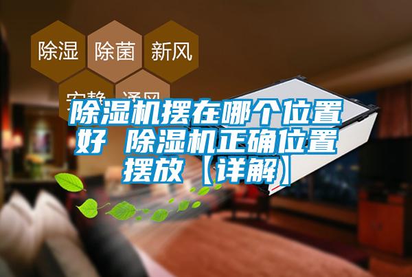 除濕機擺在哪個(gè)位置好 除濕機正確位置擺放【詳解】