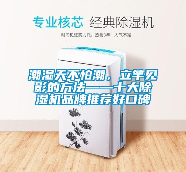 潮濕天不怕潮，立竿見(jiàn)影的方法——十大除濕機品牌推薦好口碑