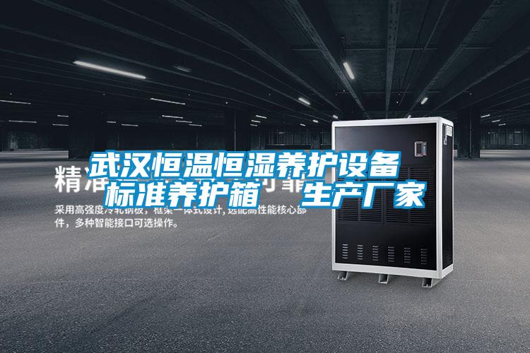 武漢恒溫恒濕養護設備  標準養護箱  生產(chǎn)廠(chǎng)家
