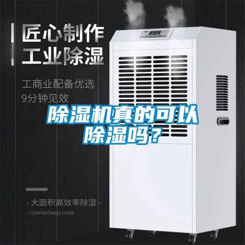 除濕機真的可以除濕嗎？
