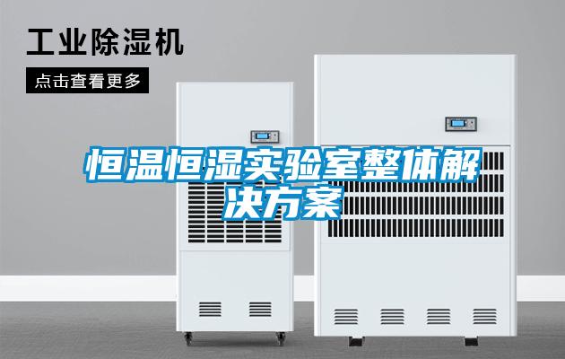 恒溫恒濕實(shí)驗室整體解決方案