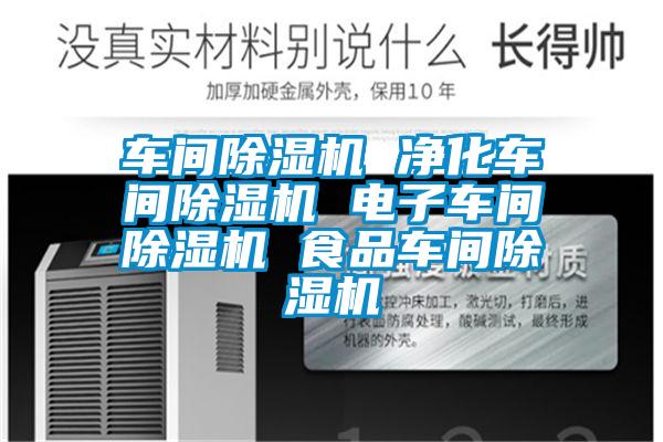 車(chē)間除濕機 凈化車(chē)間除濕機 電子車(chē)間除濕機 食品車(chē)間除濕機