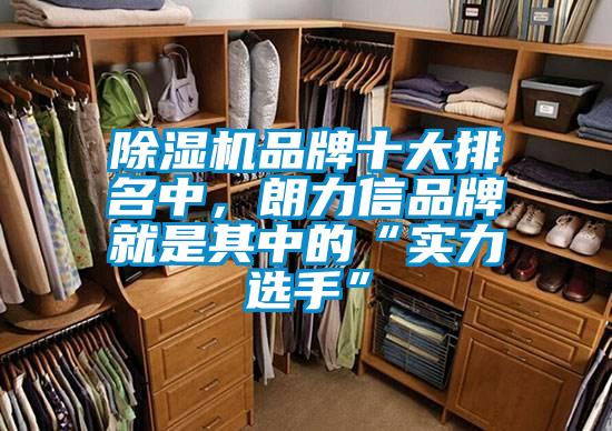 除濕機品牌十大排名中，朗力信品牌就是其中的“實(shí)力選手”