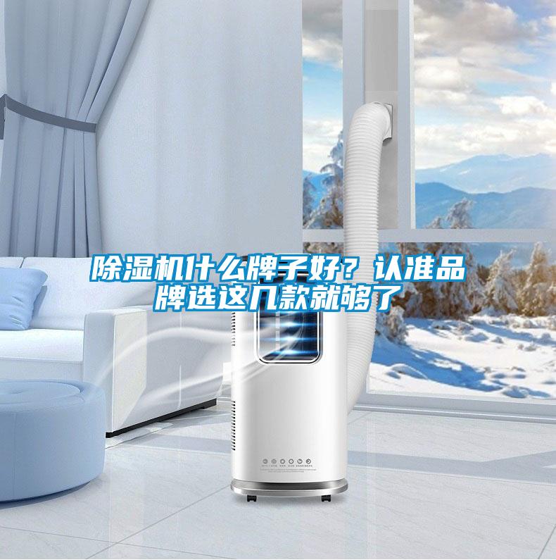 除濕機什么牌子好？認準品牌選這幾款就夠了