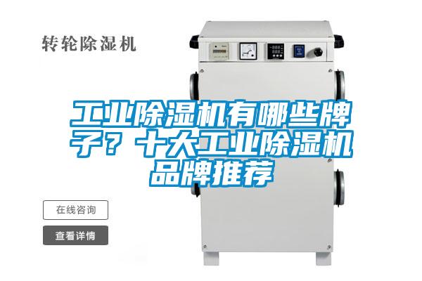 工業(yè)除濕機有哪些牌子？十大工業(yè)除濕機品牌推薦