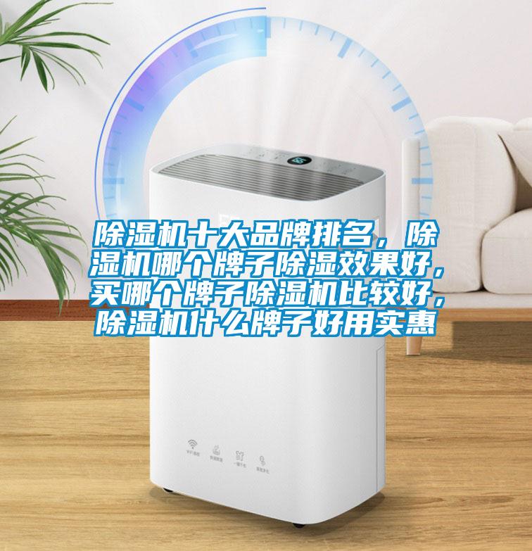 除濕機十大品牌排名，除濕機哪個(gè)牌子除濕效果好，買(mǎi)哪個(gè)牌子除濕機比較好，除濕機什么牌子好用實(shí)惠