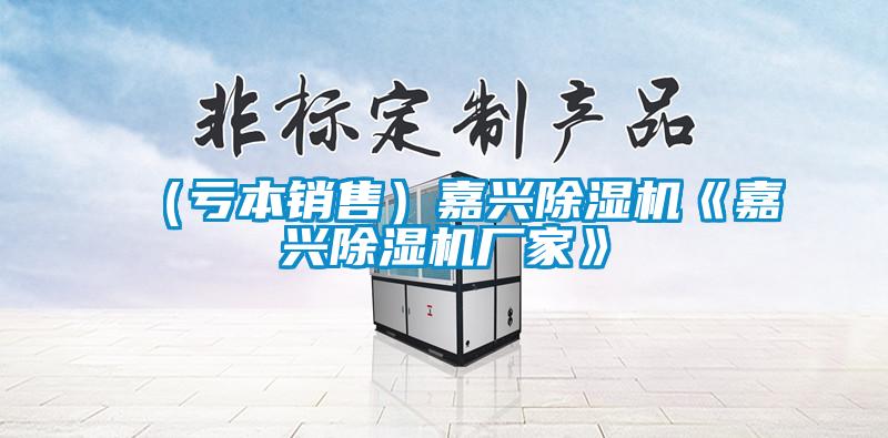 （虧本銷(xiāo)售）嘉興除濕機《嘉興除濕機廠(chǎng)家》