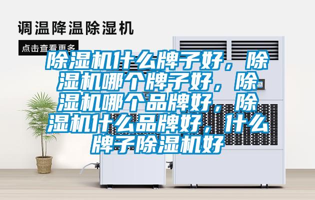 除濕機什么牌子好，除濕機哪個(gè)牌子好，除濕機哪個(gè)品牌好，除濕機什么品牌好，什么牌子除濕機好