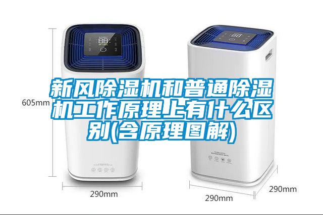 新風(fēng)除濕機和普通除濕機工作原理上有什么區別(含原理圖解)