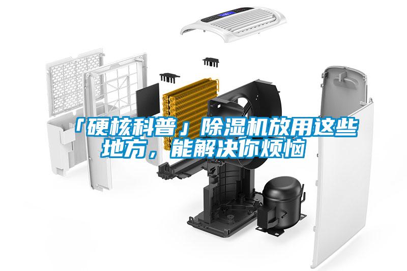 「硬核科普」除濕機放用這些地方，能解決你煩惱