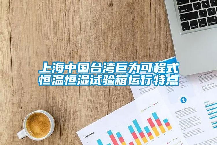 上海中國臺灣巨為可程式恒溫恒濕試驗箱運行特點(diǎn)