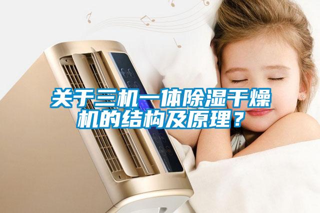 關(guān)于三機一體除濕干燥機的結構及原理？