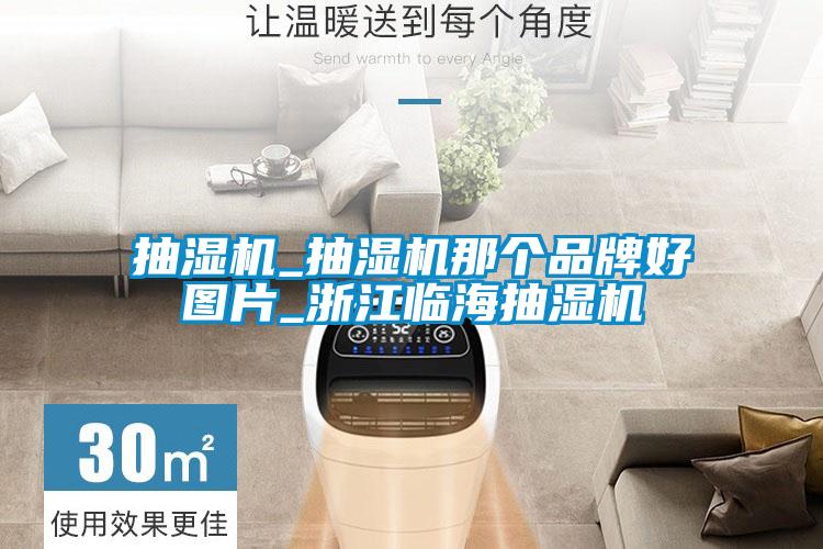 抽濕機_抽濕機那個(gè)品牌好圖片_浙江臨海抽濕機