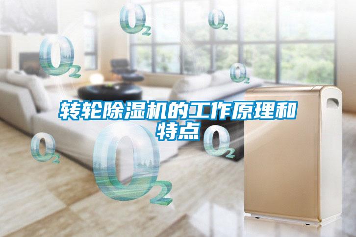 轉輪除濕機的工作原理和特點(diǎn)