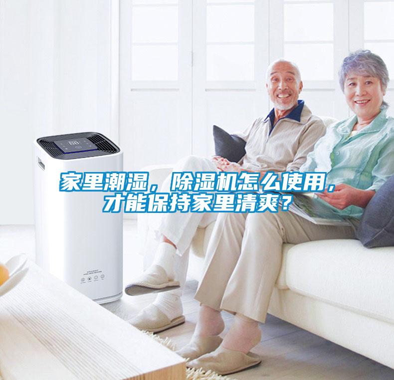 家里潮濕，除濕機怎么使用，才能保持家里清爽？