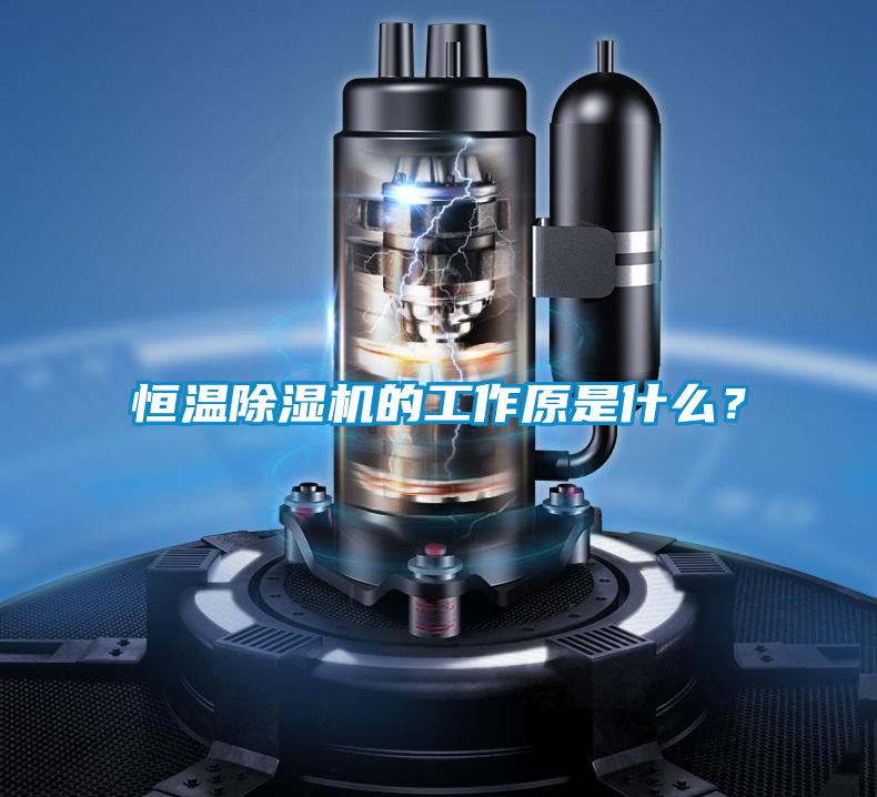 恒溫除濕機的工作原是什么？