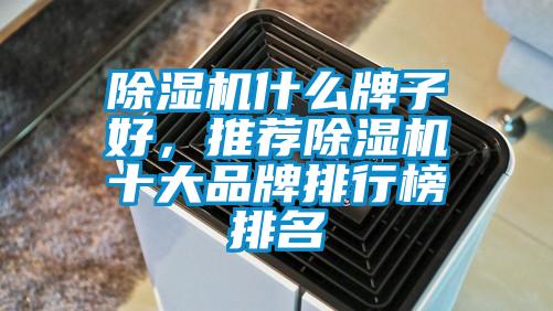 除濕機什么牌子好，推薦除濕機十大品牌排行榜排名