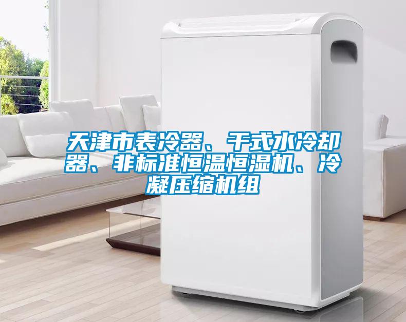 天津市表冷器、干式水冷卻器、非標準恒溫恒濕機、冷凝壓縮機組