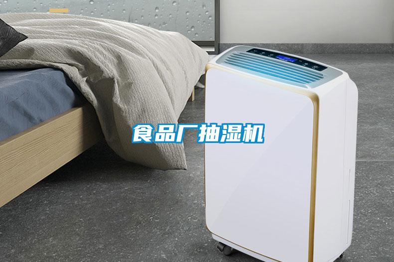食品廠(chǎng)抽濕機