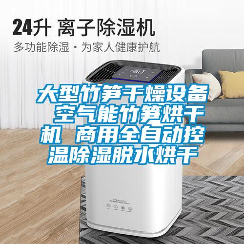 大型竹筍干燥設備 空氣能竹筍烘干機 商用全自動(dòng)控溫除濕脫水烘干
