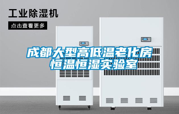 成都大型高低溫老化房 恒溫恒濕實(shí)驗室