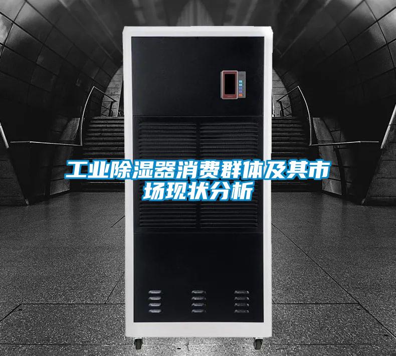 工業(yè)除濕器消費群體及其市場(chǎng)現狀分析