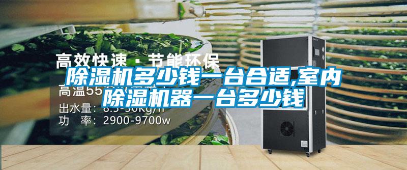 除濕機多少錢(qián)一臺合適,室內除濕機器一臺多少錢(qián)