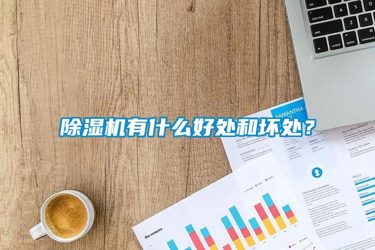 除濕機有什么好處和壞處？