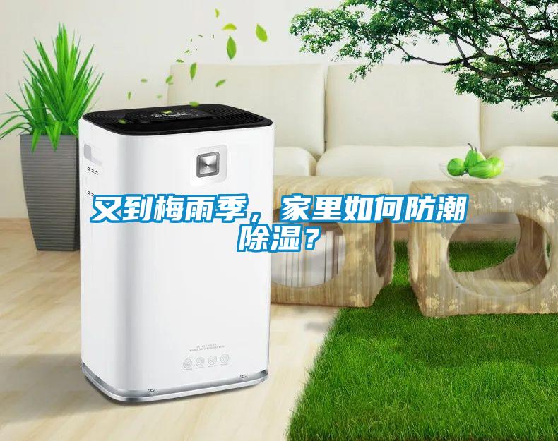 又到梅雨季，家里如何防潮除濕？