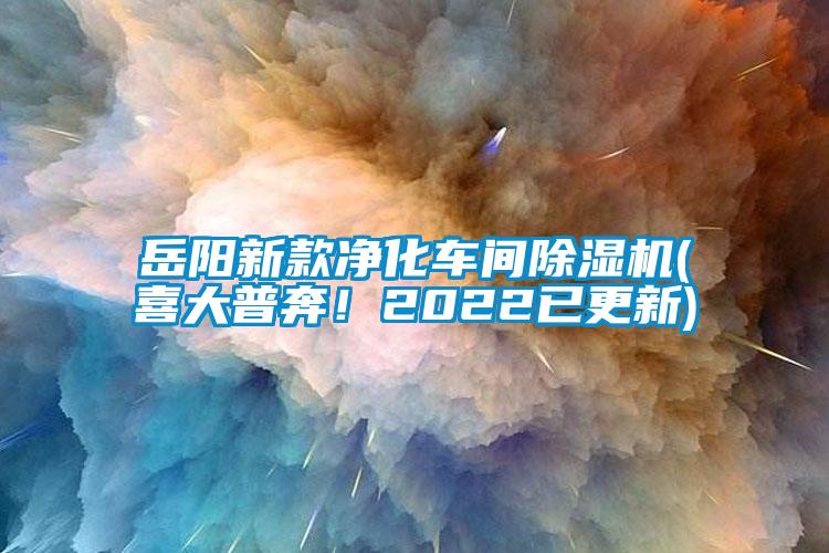 岳陽(yáng)新款凈化車(chē)間除濕機(喜大普奔！2022已更新)