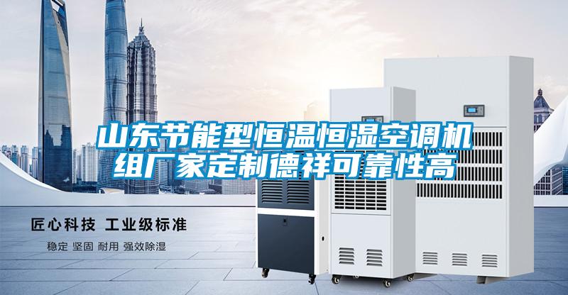 山東節能型恒溫恒濕空調機組廠(chǎng)家定制德祥可靠性高