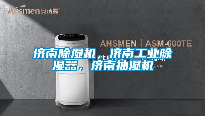濟南除濕機，濟南工業(yè)除濕器，濟南抽濕機
