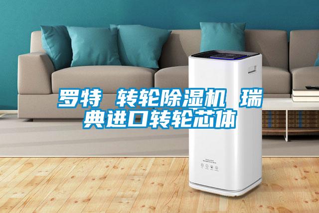 羅特 轉輪除濕機 瑞典進(jìn)口轉輪芯體