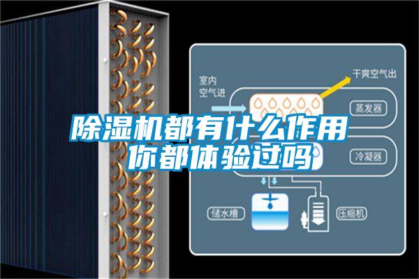 除濕機都有什么作用 你都體驗過(guò)嗎