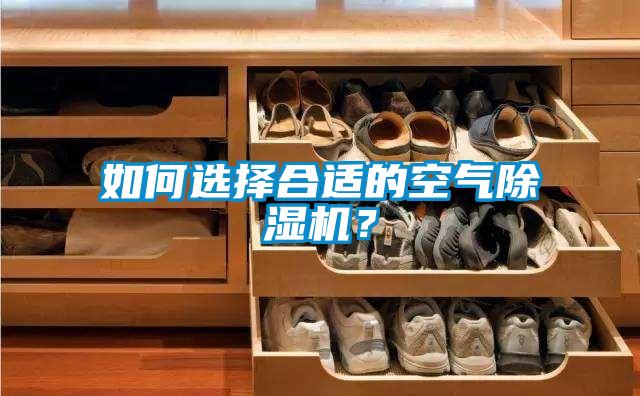 如何選擇合適的空氣除濕機？