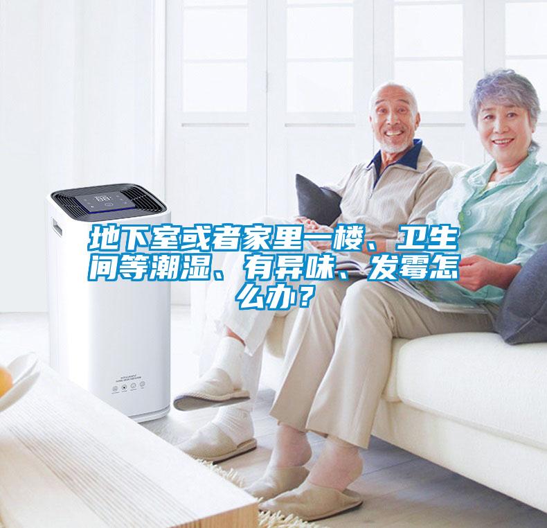地下室或者家里一樓、衛生間等潮濕、有異味、發(fā)霉怎么辦？