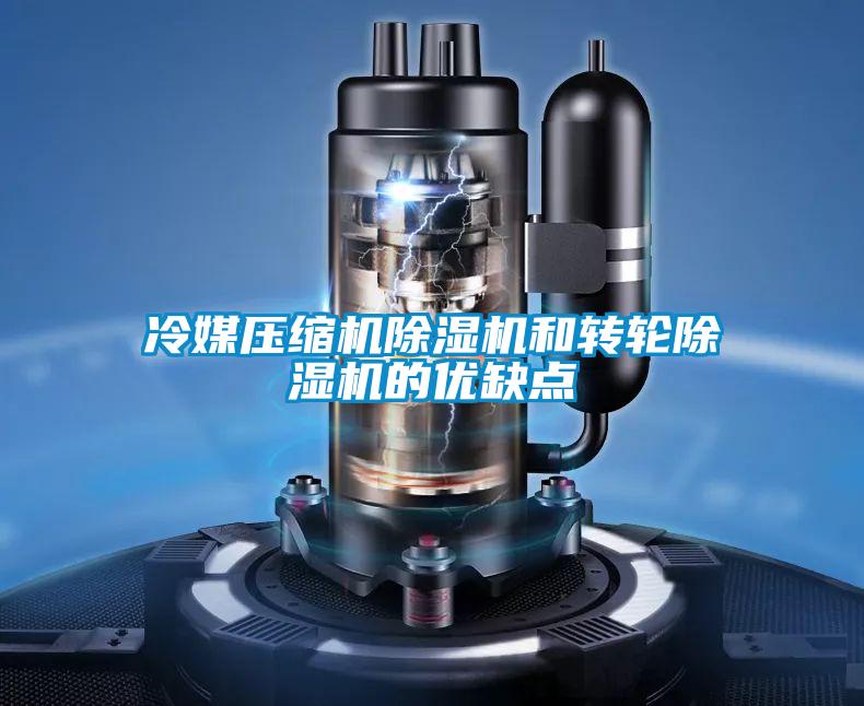 冷媒壓縮機除濕機和轉輪除濕機的優(yōu)缺點(diǎn)