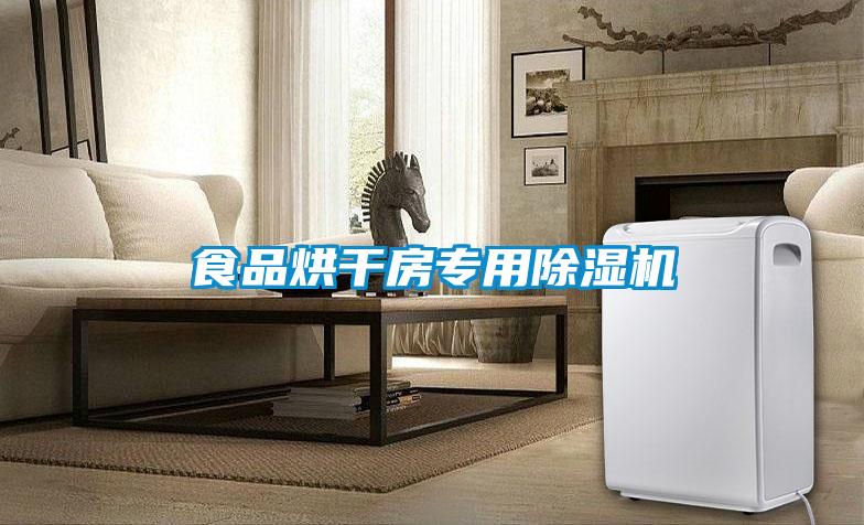食品烘干房專(zhuān)用除濕機