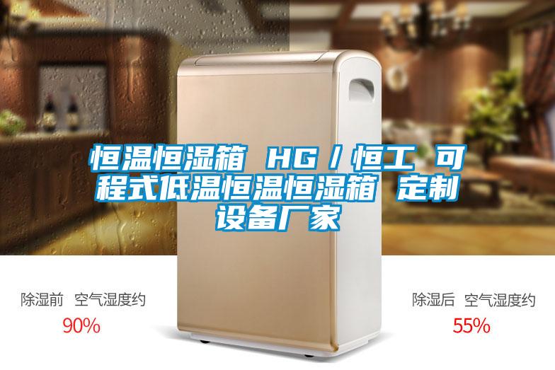 恒溫恒濕箱 HG／恒工 可程式低溫恒溫恒濕箱 定制設備廠(chǎng)家