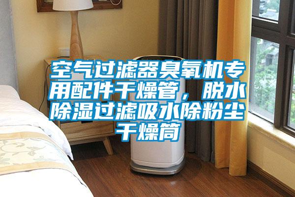 空氣過(guò)濾器臭氧機專(zhuān)用配件干燥管，脫水除濕過(guò)濾吸水除粉塵干燥筒