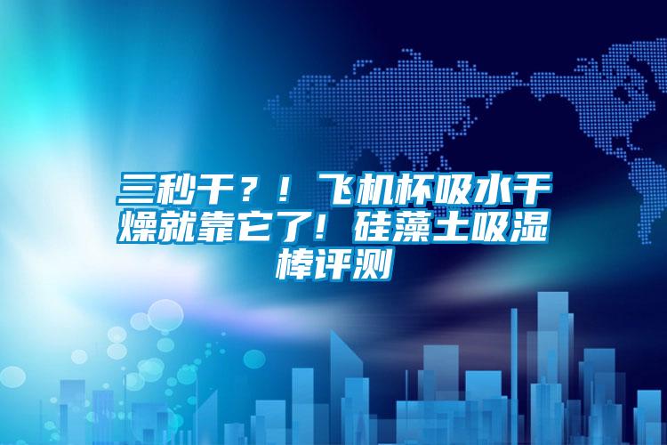 三秒干？! 飛機杯吸水干燥就靠它了! 硅藻土吸濕棒評測