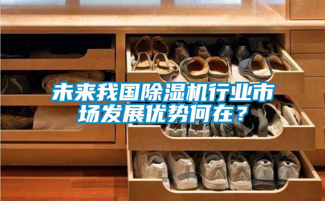 未來(lái)我國除濕機行業(yè)市場(chǎng)發(fā)展優(yōu)勢何在？