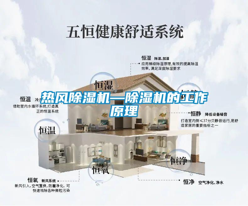 熱風(fēng)除濕機—除濕機的工作原理