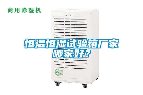 恒溫恒濕試驗箱廠(chǎng)家哪家好？