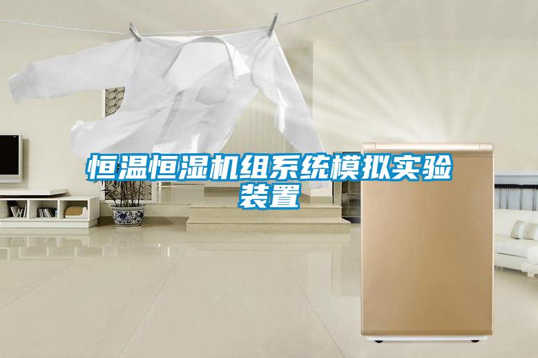 恒溫恒濕機組系統模擬實(shí)驗裝置